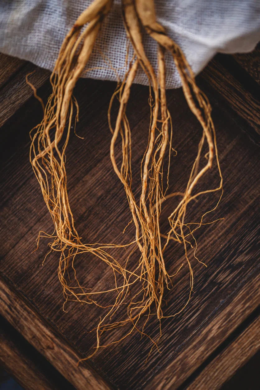 KSM-66 Ashwagandha Withania somnifera root